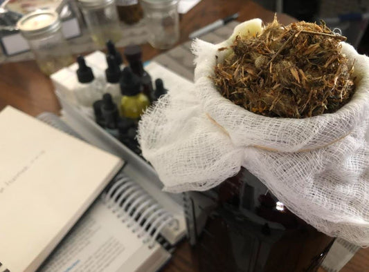 Empowering Others with Natural Remedies